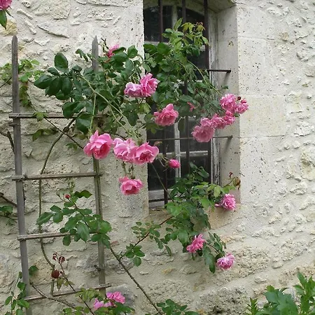 Lodge Les Loges Du Manoir *
